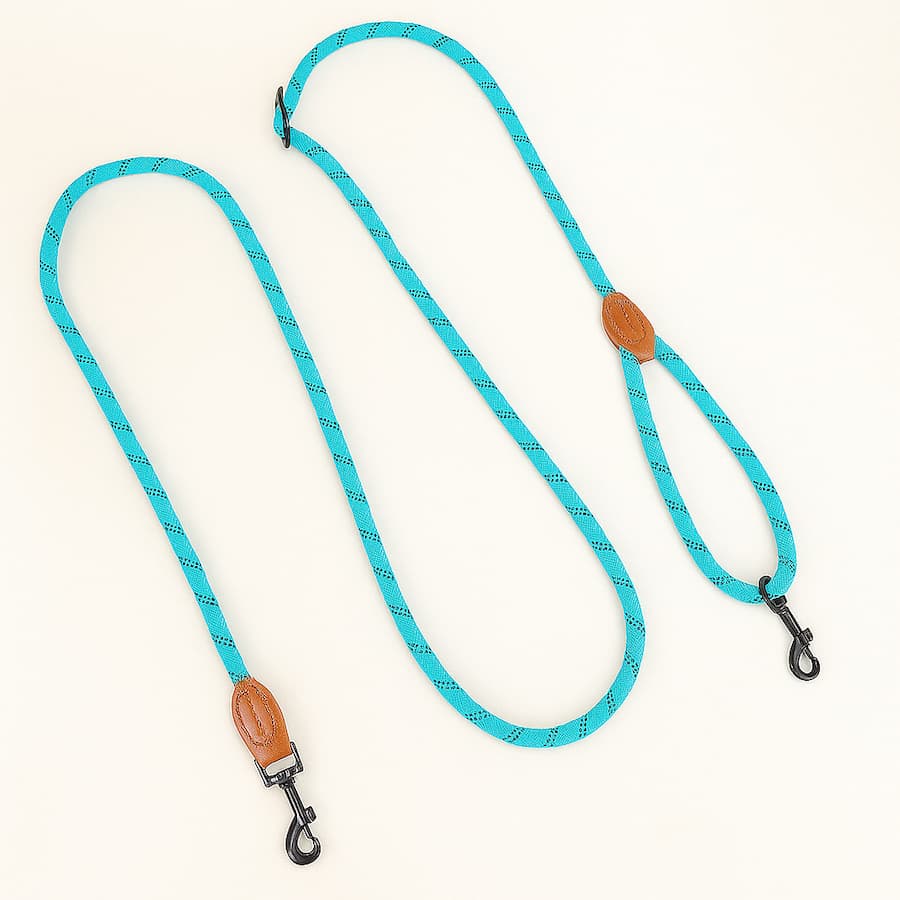 Laisse Mains Libre Pour Chien Laisse Lasso | Croq & Câlin