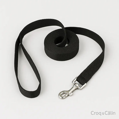 Longe Pour Chien 10 m | Croq & Câlin
