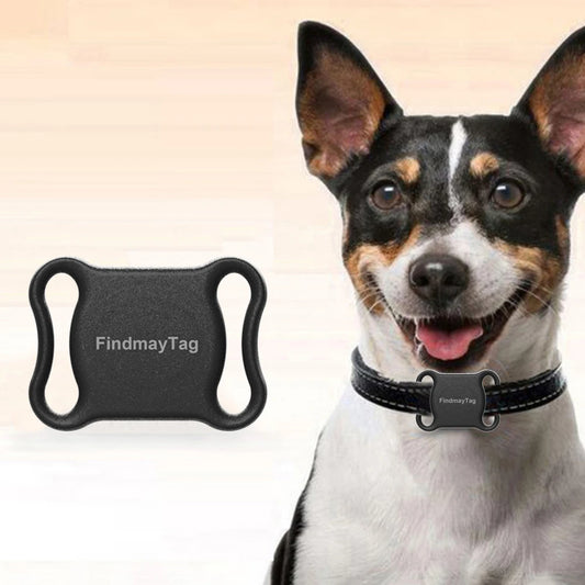 Mini GPS Pour Collier Pour Chien