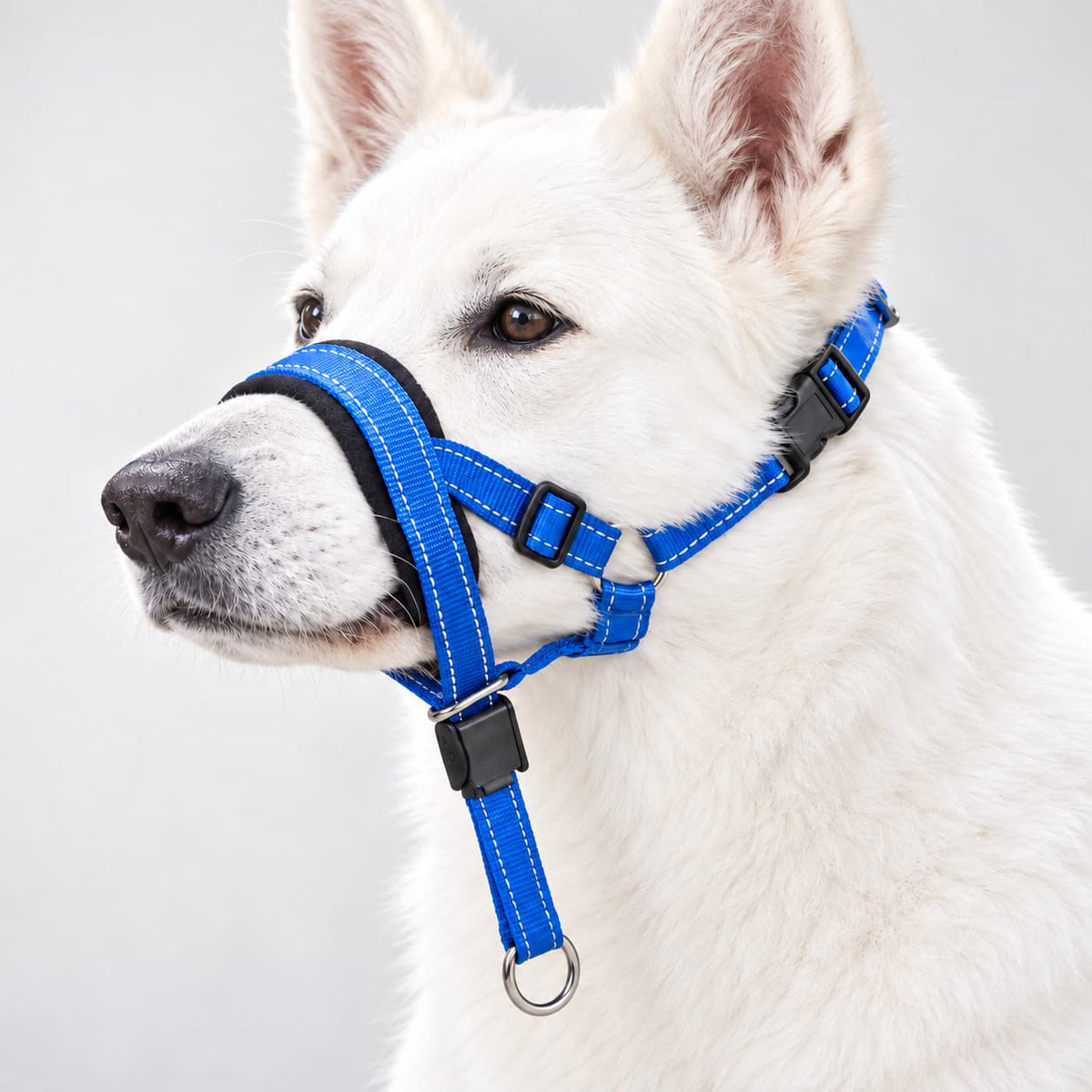 Muselière Corde en Nylon Portable Pour Grand Chien