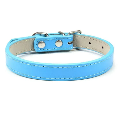 Collier Pour Chien En Cuir Coloré