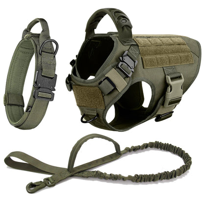 Harnais tactique pour chien avec collier, laisse et équipements