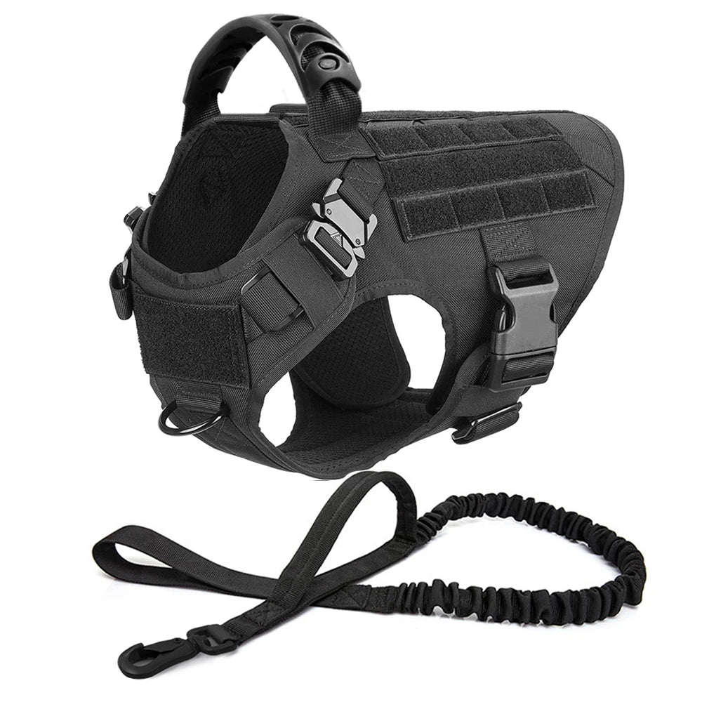 Harnais tactique pour chien avec collier, laisse et équipements