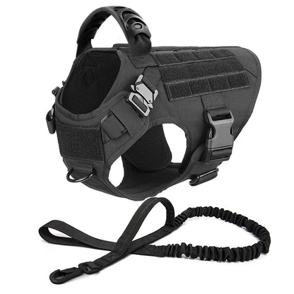 Harnais tactique pour chien avec collier, laisse et équipements