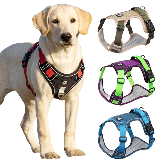 Harnais Pour Chien En Y Colorés