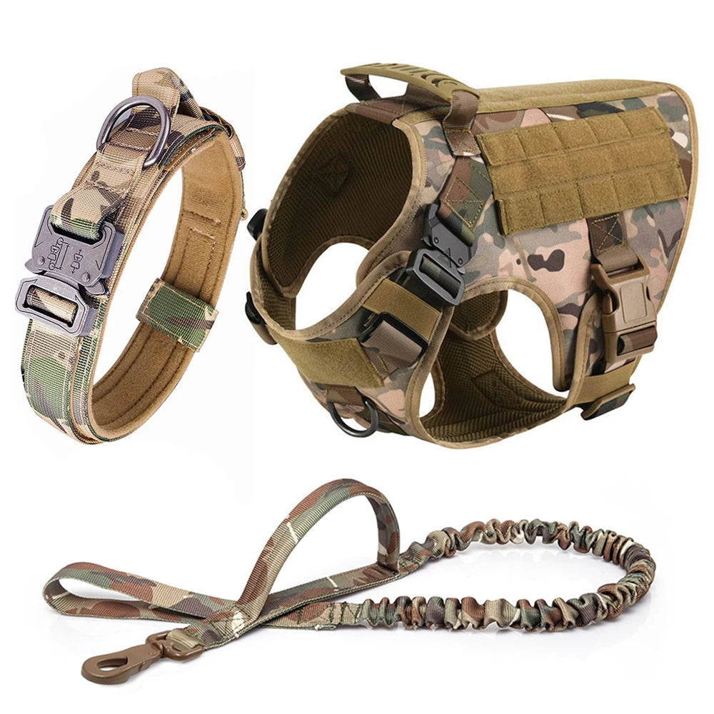 Harnais tactique pour chien avec collier, laisse et équipements