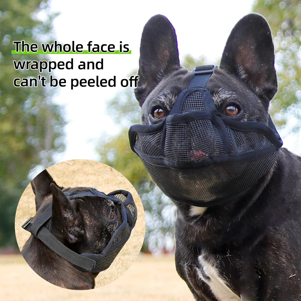 Muselière pour museau court, Bouledogue Français et Shar Pei - photo 6