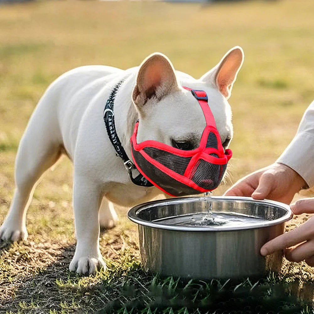 Muselière pour museau court, Bouledogue Français et Shar Pei - photo 3
