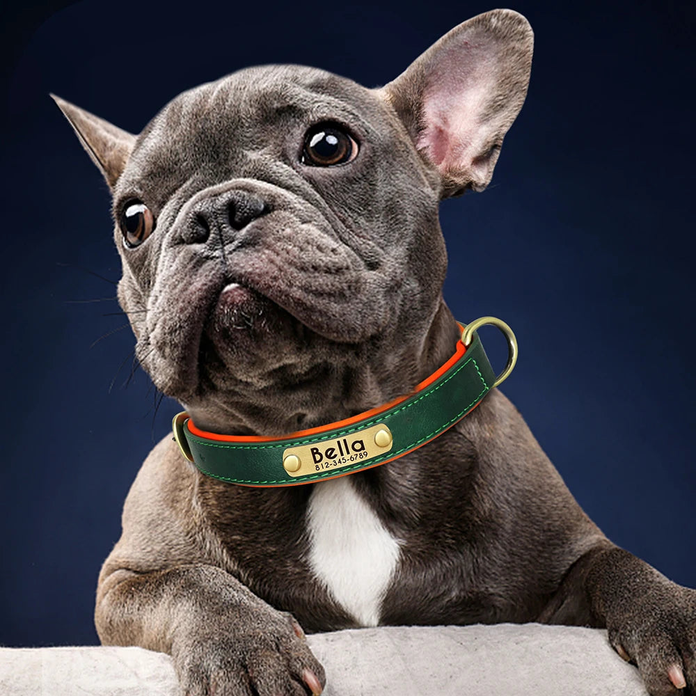 Collier Pour Chien En Cuir Personnalisé