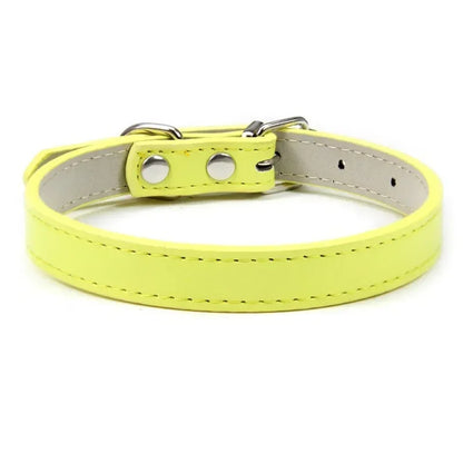 Collier Pour Chien En Cuir Coloré - photo 6