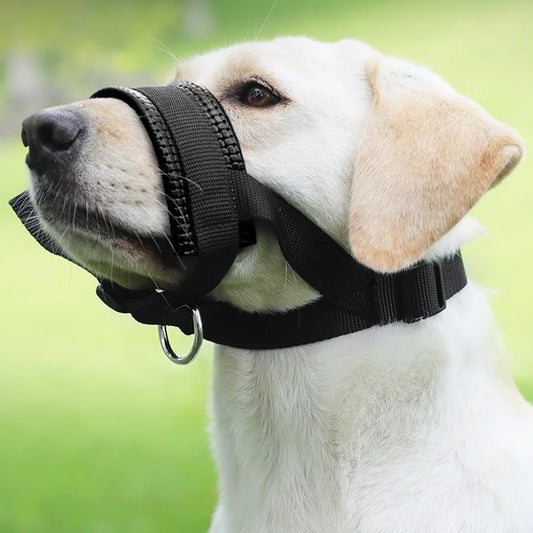 Muselière ajustable anti-morsure et anti-aboiement pour chien