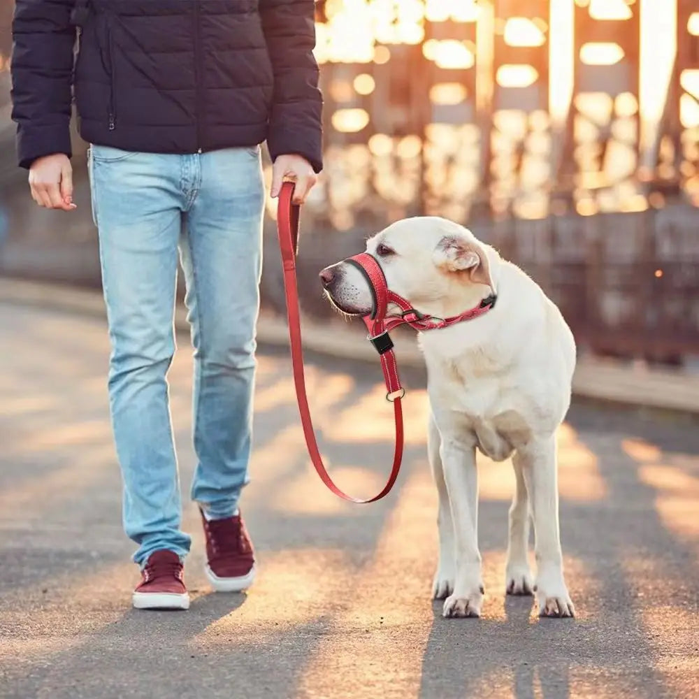 Muselière corde en nylon portable pour chien - photo 3