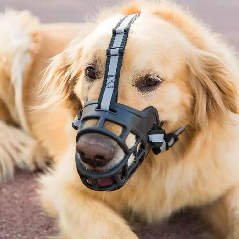 Muselière panier respirante pour chien moyen et grand