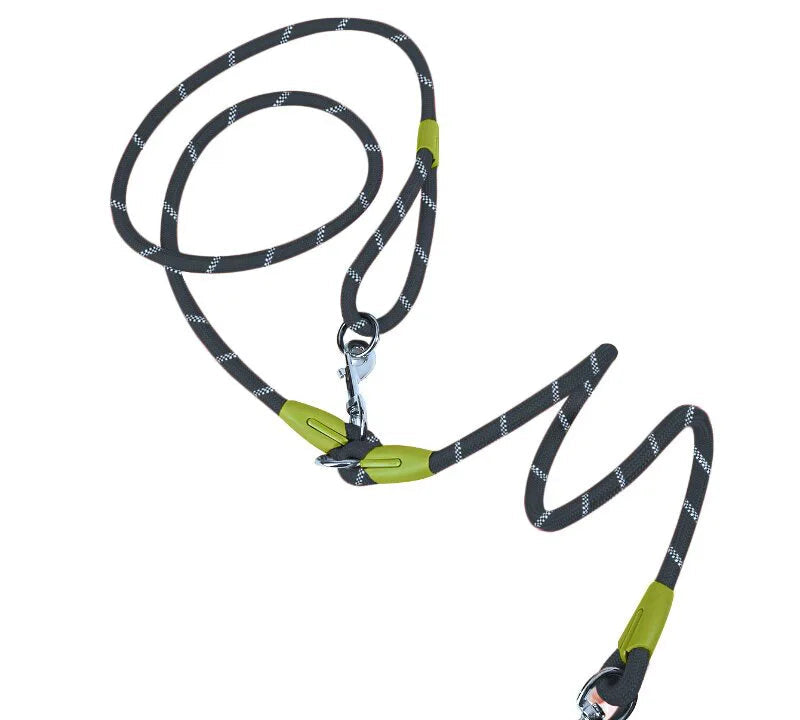 Laisse Anneau Main Libre Pour Chien
