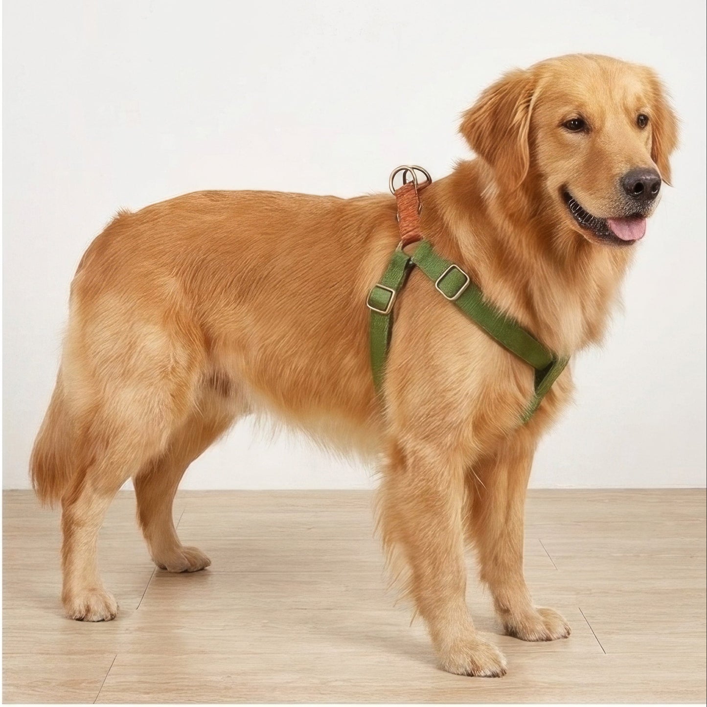 Harnais Pour Chien En Y | Modèle Yorki
