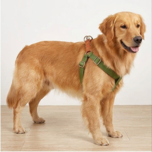 Harnais Pour Chien En Y | Modèle Yorki