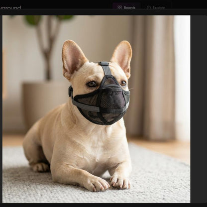 Muselière Pour Museau Court – Bouledogue et Shar Pei