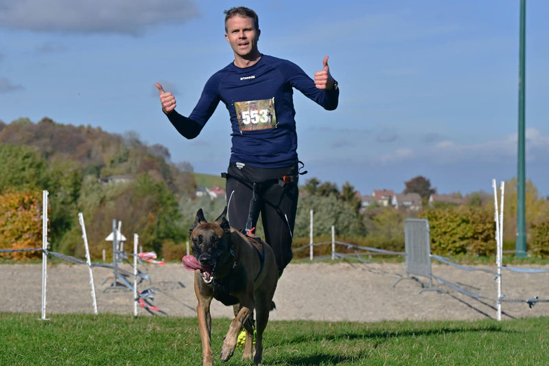 Collier de dressage pour chien
